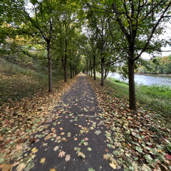 01 Freestyle mix #01