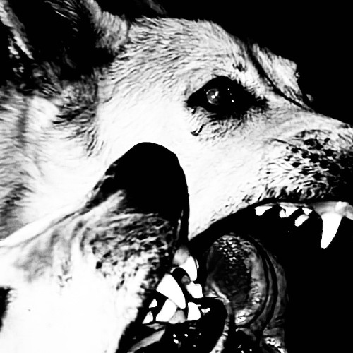 Taking It Back To The Oldschool