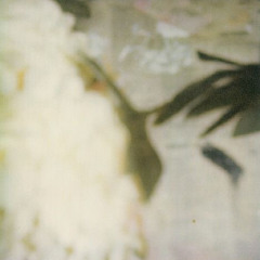 Isabella’s Lullaby