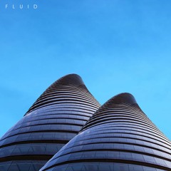 Diskay - Fluid