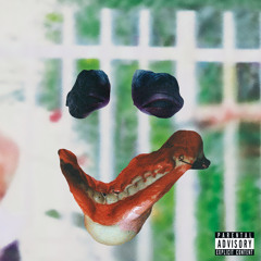 slowswan (feat. Swan Meat)