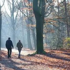 A Wonderful Life  -  Tribute to Carl Craig