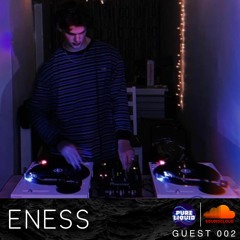 PURE LIQUID Guest Mix 002: Eness [vinyl]