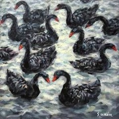 Black Swans