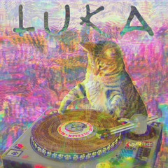 12.12.25.02.luka.track