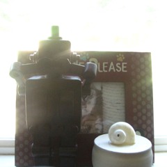 seashell and robot