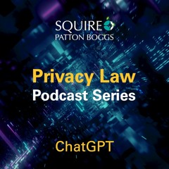 Privacy Law Podcast: Is Generative AI Safe For Use by Enterprise Customers?