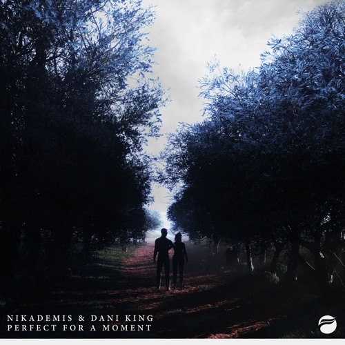 Nikademis & Dani King - Perfect For A Moment (Future Generation)