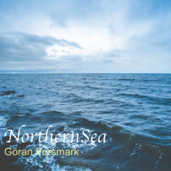 NorthernSea