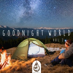 Goodnight World 🌌 - An Indie/Folk/Chill Sleeping Playlist | Vol. 2