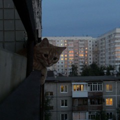Rutină