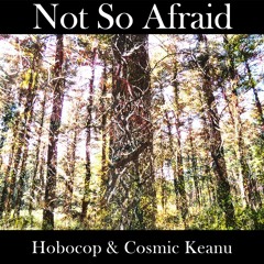 Not So Afraid (Hobocop & Cosmic Keanu) 432Hz Edition