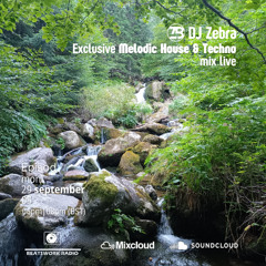 Exclusive Melodic House & Techno Mix Live by DJ Zebra for Beatsworkradio 29/09/2025