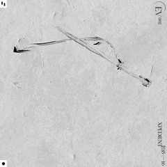 Premiere: xpedient - E0004