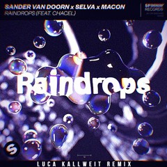 Sander Van Doorn X Selva X Macon & Chacel - Raindrops (Luca Kallweit Remix)
