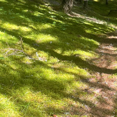 When the Night - Live @ Dokkhuset