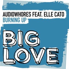 Burning Up (Extended Mix)Audiowhores feat. Elle Cato