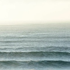 Bio-Tides