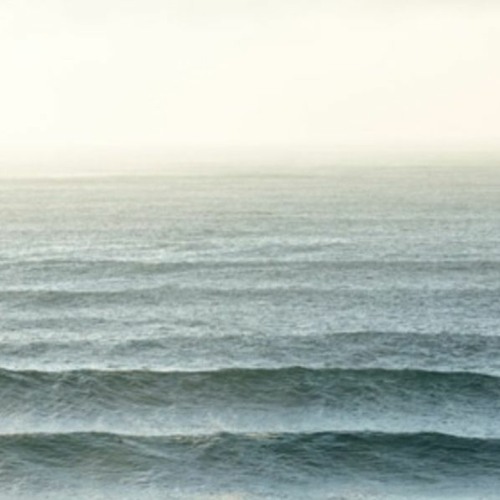 Bio-Tides