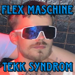 Tekk Syndrom (Prod. FlexMaschine)
