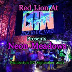Red Lion At Back To The Wild Presents The Neon Meadows Festival In Pemberton BC