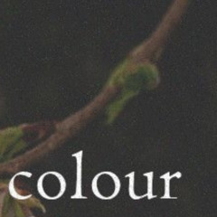 a splash of colour-naviarhaiku585