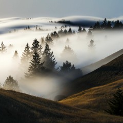 As The Fog Rolls In