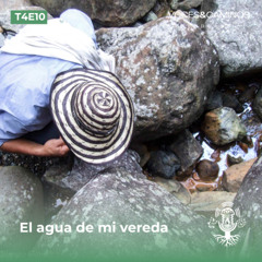 El agua de mi vereda