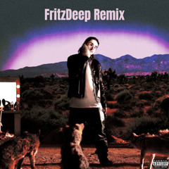 Tommy Richman-WHITNEY (FritzDeep Remix)