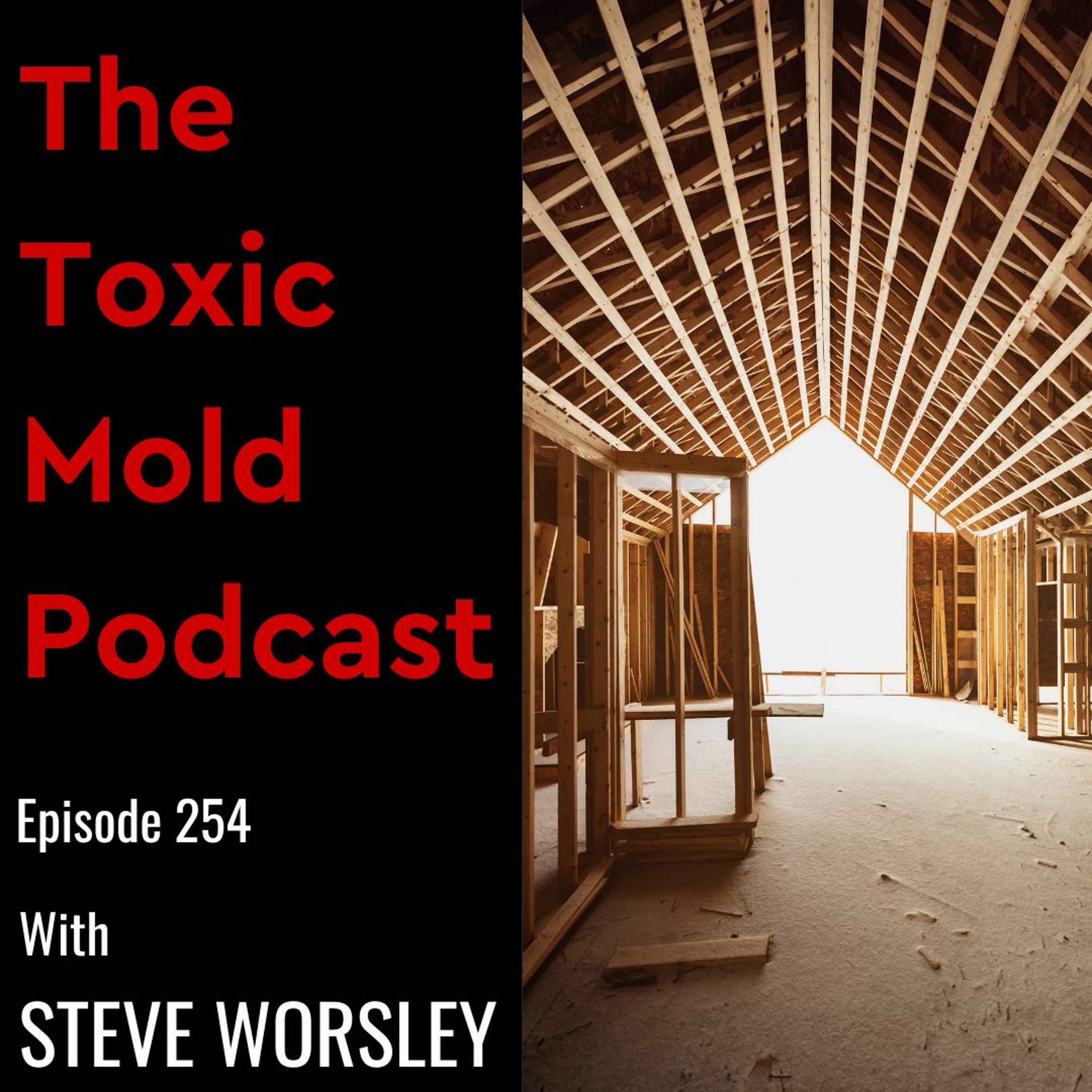 The Toxic Mold Podcast