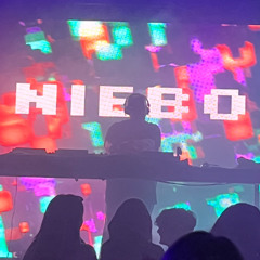 Reflect Within 138 Melodic Progressive journey