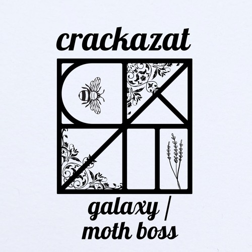 Moth Boss