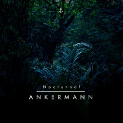 Ankermann - Nocturnal