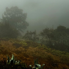 Lament of the Guanches