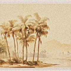 Oasis (Bandcamp Only)