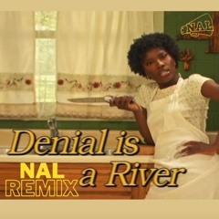 DENIAL IS A RIVER NAL REMIX by Doechii