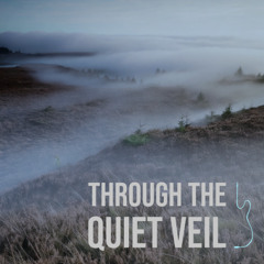Through the quiet veil