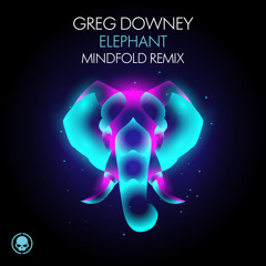 Elephant (Mindfold Remix)