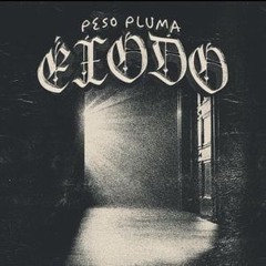 TAMAULIPAS PESO PLUMA (V FINAL)