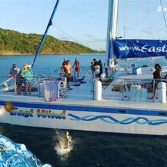 Review Special Price Icacos Island Catamaran Day Sail From Fajardo