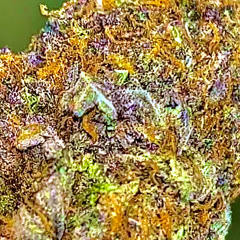 Eem Triplin - Awkward (slowed)