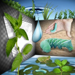 <;⁽ᛕ𝐞𝐞𝑃 ～𝑀𝐨𝐕𝑖𝐍ᧁ～𝐅𝑜𝐑᭙𝐴𝐫ძ⁾;>•⊹♡☤♁❧(𝓹𝓻𝓸𝓭. 𝔩𝔢𝔞𝔫𝒦𝔢𝕪)