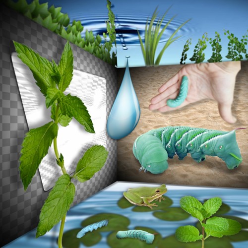 <;⁽ᛕ𝐞𝐞𝑃 ～𝑀𝐨𝐕𝑖𝐍ᧁ～𝐅𝑜𝐑᭙𝐴𝐫ძ⁾;>•⊹♡☤♁❧(𝓹𝓻𝓸𝓭. 𝔩𝔢𝔞𝔫𝒦𝔢𝕪)