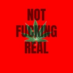 Not Fucking Real Ft Xenthrox