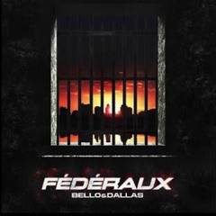 Bello&Dallas Fédéraux