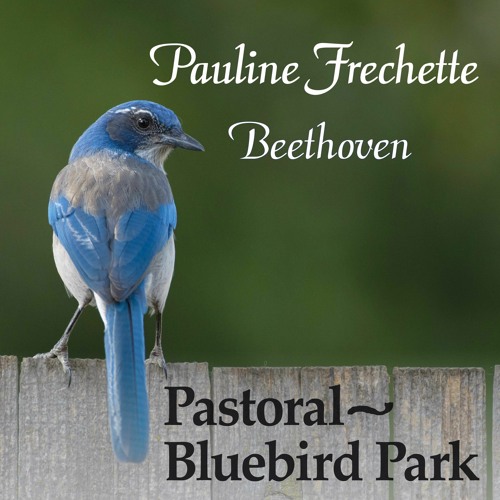 Pastoral - Bluebird Park