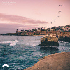 Cosmic Evolution - Morning Birds