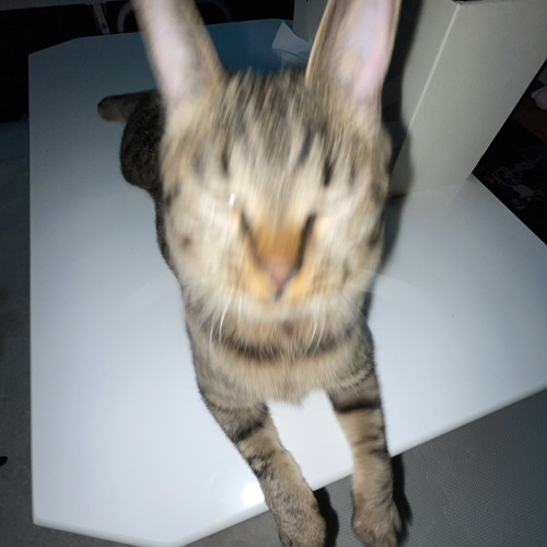 あ