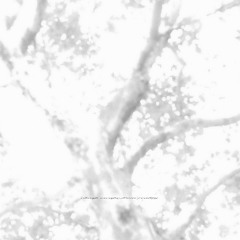 losing a life (clearjaw)