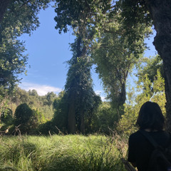 UntitledAug172024551PM